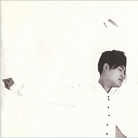 거짓말도 보여요