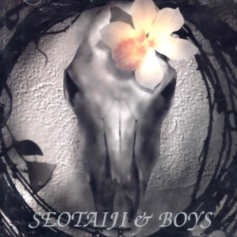 TAIJI BOYS