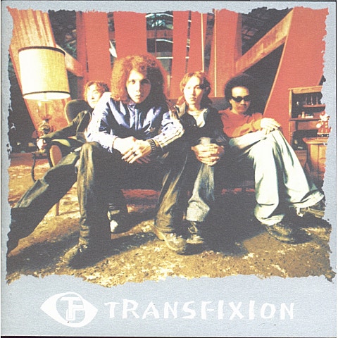 TRANSFIXION