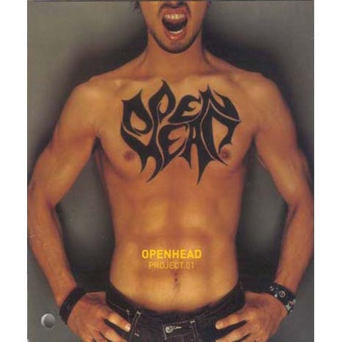 오픈헤드