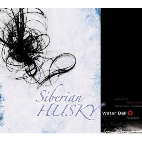 시베리안허스키