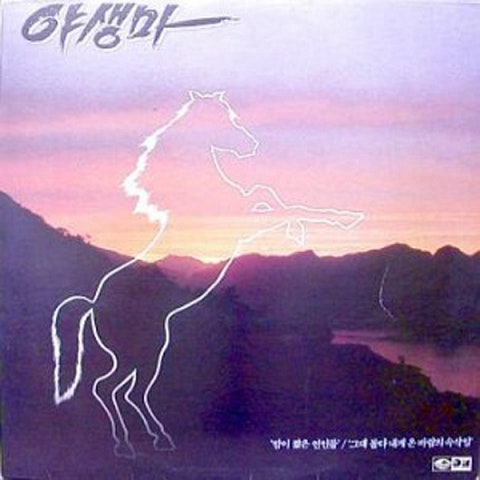 방현용과 야생마