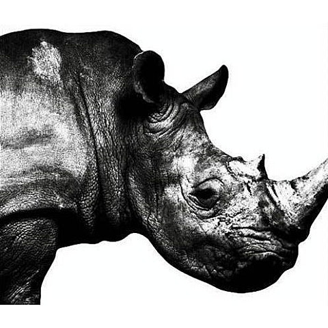 Tomorrow never knows (ドラマ