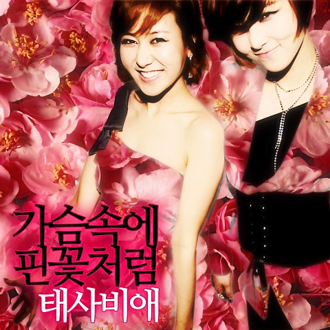 가슴속에 핀 꽃처럼 (Rap.Mr.Gordo,전세...)