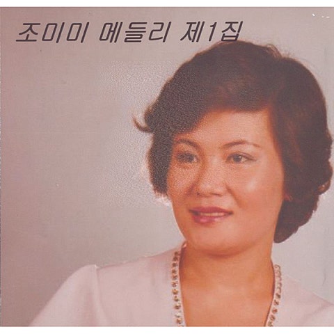 정든배