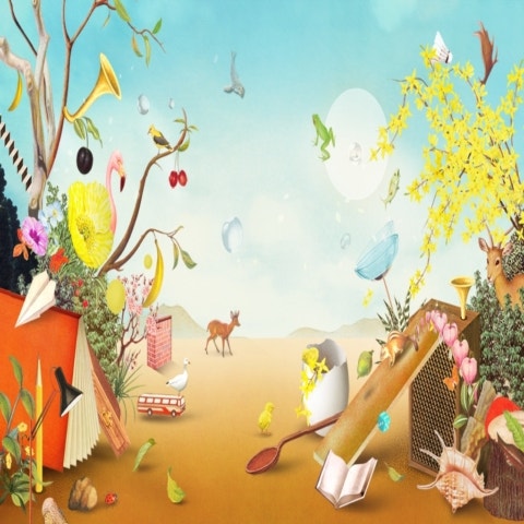 소규모아카시아밴드