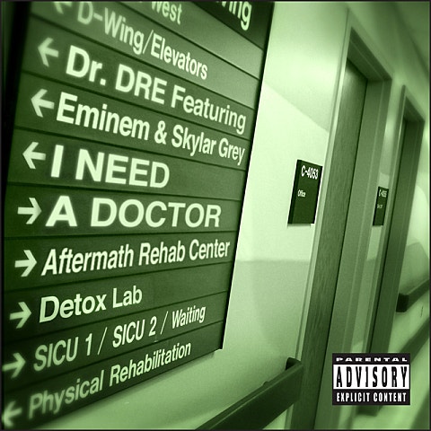 I Need A Doctor (Feat.Eminem,Skylar Grey)