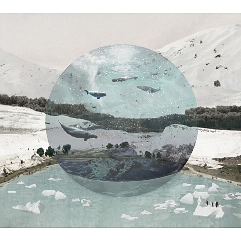 고래(Drama Ver.) (드라마