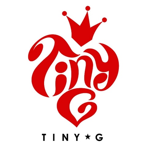 Tiny-G(작은 거인)