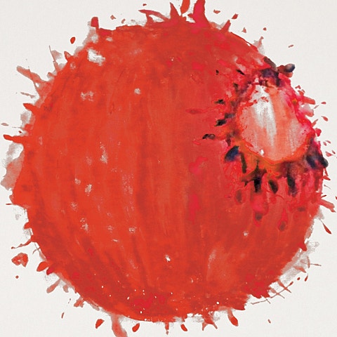 매미는 비가 와도 운다