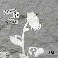아티스트316 이미지
