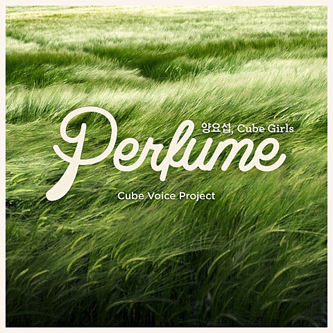 양요섭,Cube Girls