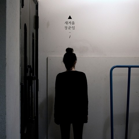 새 겨울