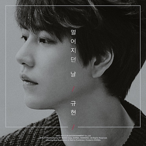 멀어지던 날(The Day We Felt The Distance)