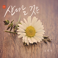 미디어스코프(주) 이미지