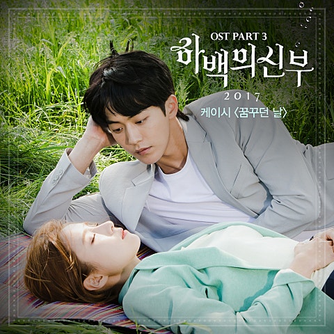 꿈꾸던 날 (드라마