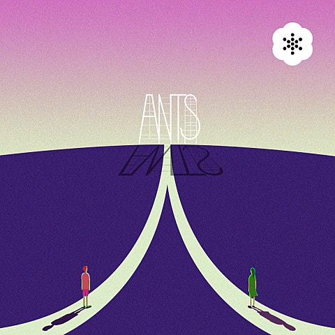 앤츠(Ants)