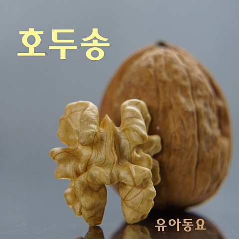 호두송