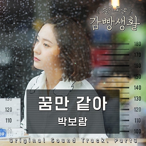 꿈만 같아(드라마