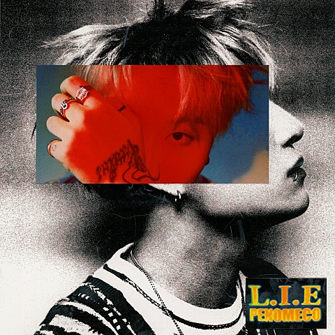 L.I.E (Prod. Zico)