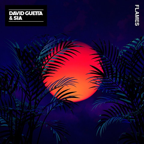 David Guetta,Sia