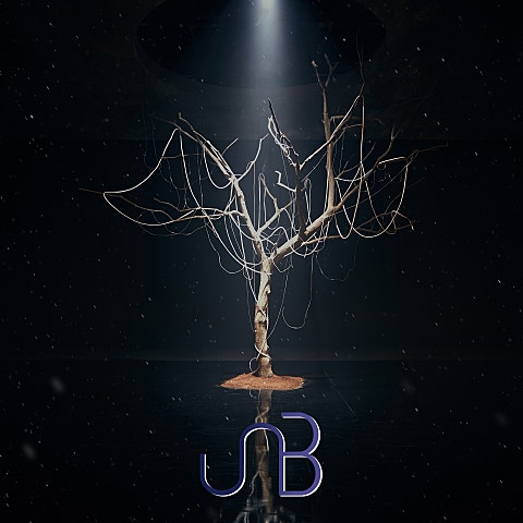 UNB