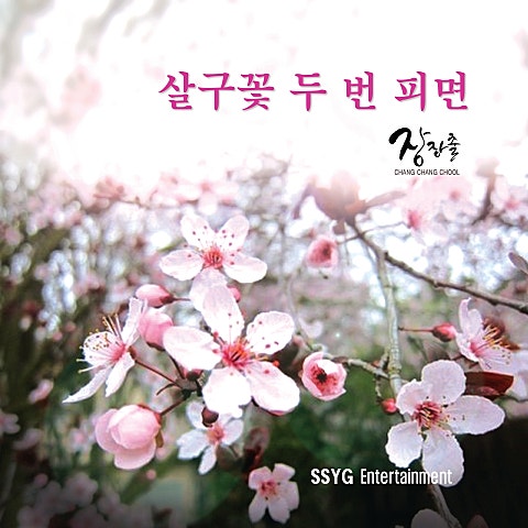 살구꽃 두 번 피면