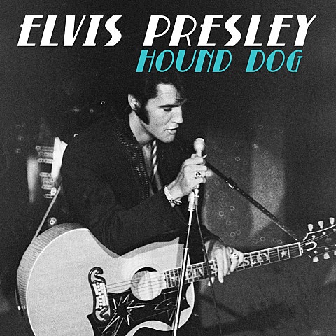 Hound Dog