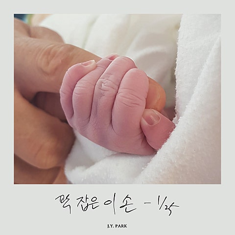 꽉 잡은 이 손