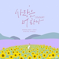 너하나 이미지