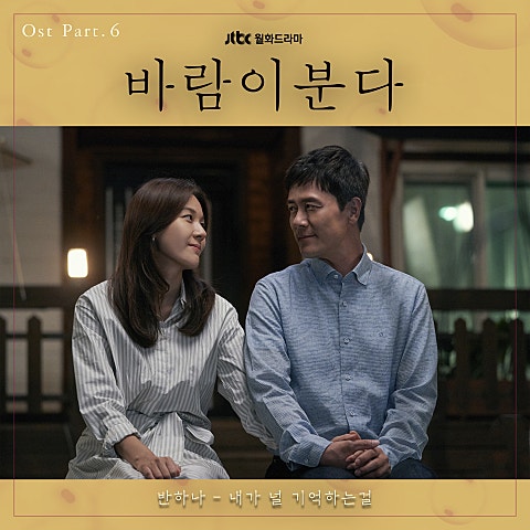 내가 널 기억하는걸 (드라마