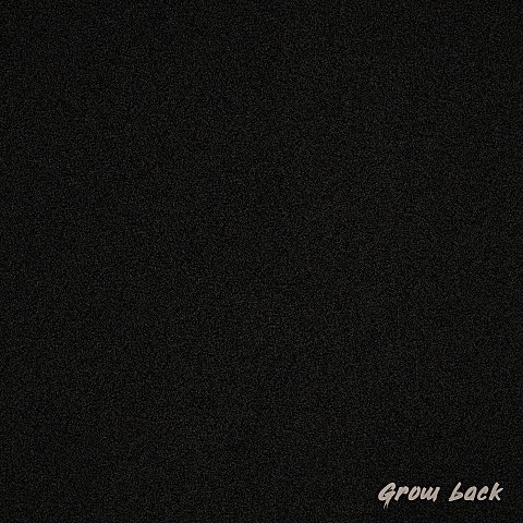 Grow back (Feat.브라운티거)