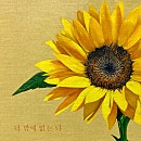 (주)다날엔터테인먼트 이미지