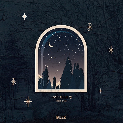 크리스마스의 밤 (하얀 눈꽃)