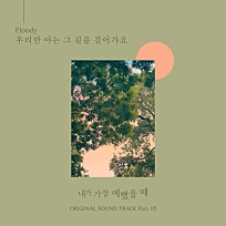 플루디 이미지