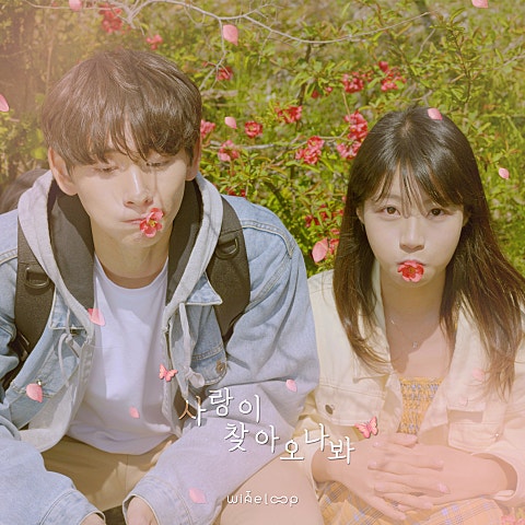 사랑이 찾아오나 봐
