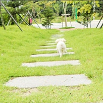 (주)무성 이미지