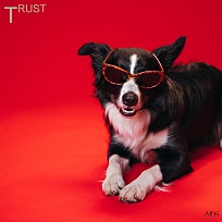 트러스트(TRUST) 이미지
