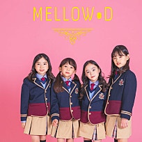 멜로우디(MELLOW:D) 이미지