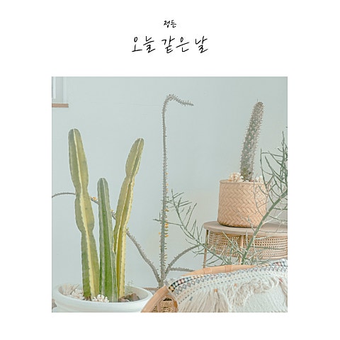 오늘 같은 날 앨범 커버