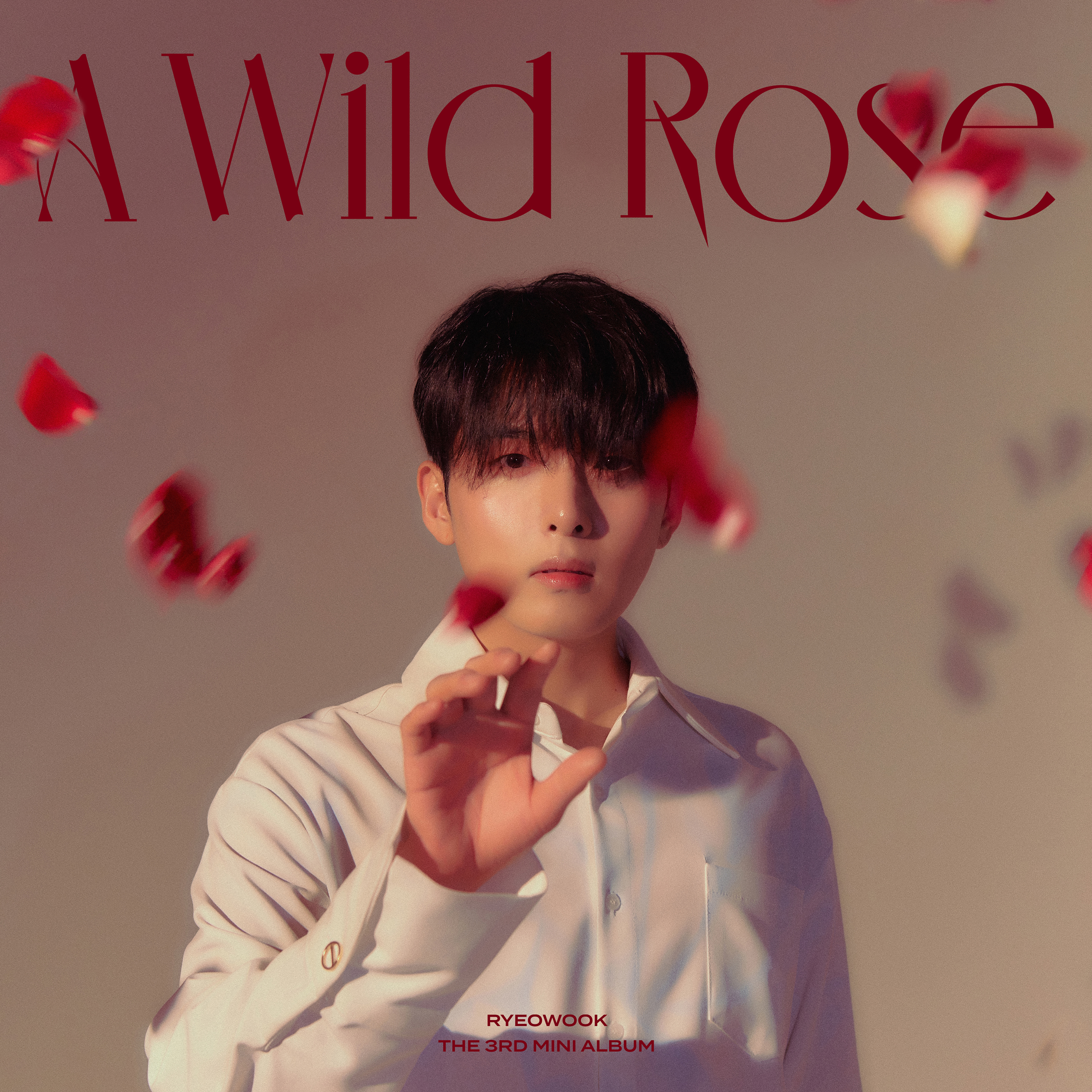 [情報] 厲旭 - 第三張迷你專輯《A Wild Rose》