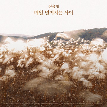 사이반주 이미지