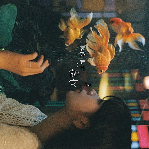 앨범 이미지