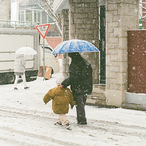 사랑을 주세요(만화 "개구리중사 케로로")