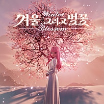 세탁나라 이미지