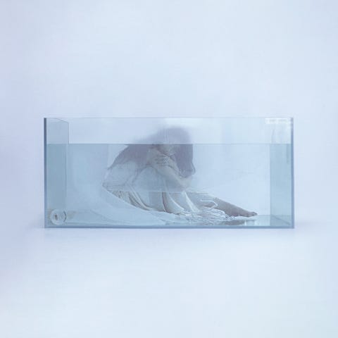 해파리
