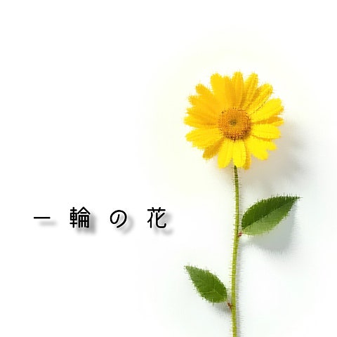 HIGH and MIGHTY COLOR