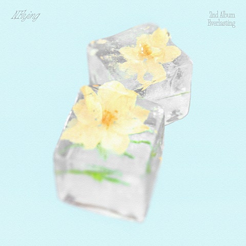 만년설 (Everlasting)