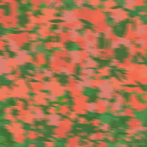 서성이는 마음들