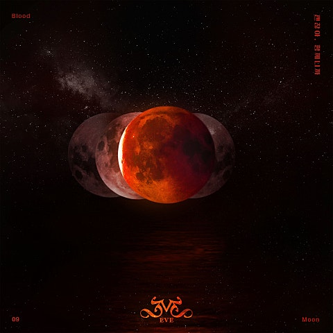 괜찮아, 함께니까